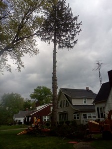 2013-05-12 Great job and thanks from Greg, Chuckie, and Corri